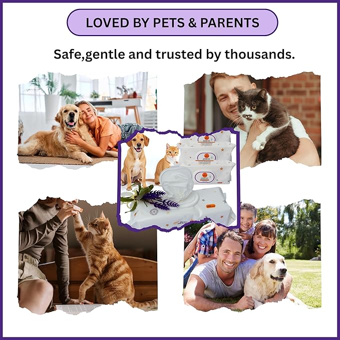 Aurora Pet Wipes – 100% Natural, Plant-Based Hypoallergenic Grooming Wipes for Dogs & Cats – Extra-Durable, Large & Thick for Effortless Cleaning (Lavender, 100 Count)