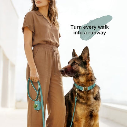 Didog Soft PU Leather Dog Collar, Stylish Quick Released Dog Collars for Large Dogs, Easy Clean Adjustable Pet Collar for Daily Walking, Green, XL Fit 20-26" Neck