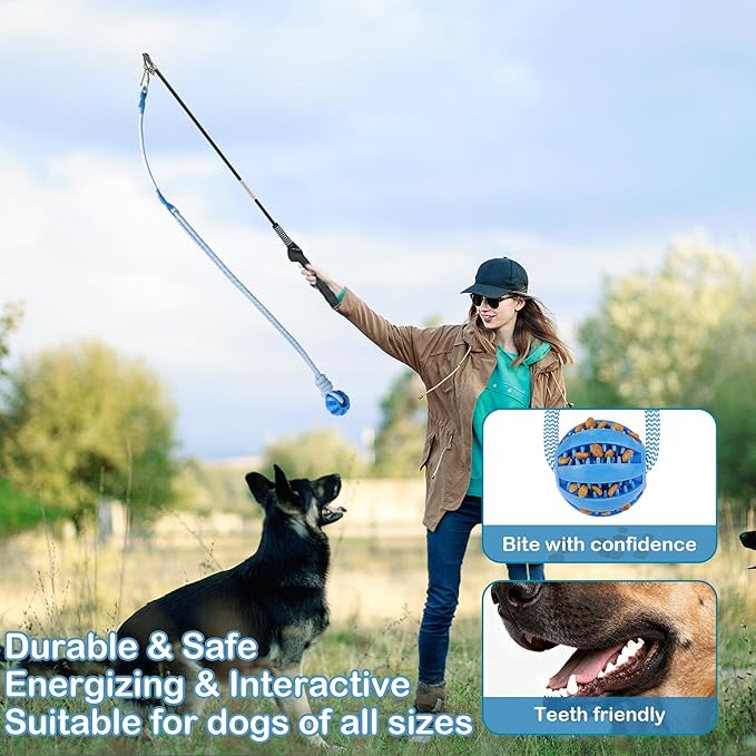 Flirt Pole for Dogs Interactive Dog Pole Toy for Large Medium Small Dogs, Chase Dog Flirt Pole for Tug of War