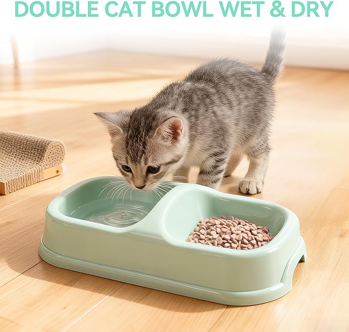 PAWISE Cat Litter Box Set, Small Kitten Starter Kit, Includes Litter Box, Litter Scoop, Double Dish Feeding Bowl, Cat Mouse Toy, Kitty Ball Toy, Green