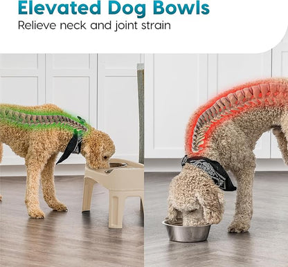 IRIS USA Adjustable Elevated Dog Bowls, Raised Feeder with 2 Stainless Steel 64 oz Bowls, Spill-Guard Rim, 12.25" or 4.63" Heights, Durable Plastic, Made in USA, Almond