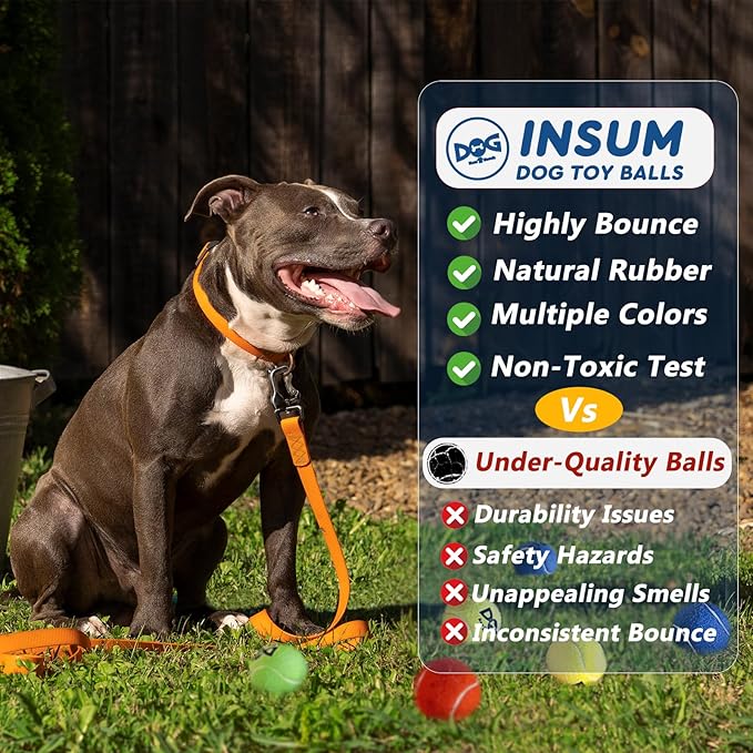 Squeaky Tennis Balls for Dogs Pack of 4 Easy Catching Dog Fetch Balls (Squeaky-Yellow)