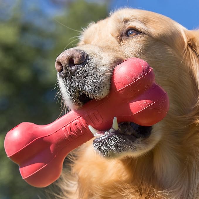 KONG Goodie Bone - Classic Durable Natural Rubber Dog Bone, Supports Mental Engagement - Treat Dispensing - Red - for Small Dogs
