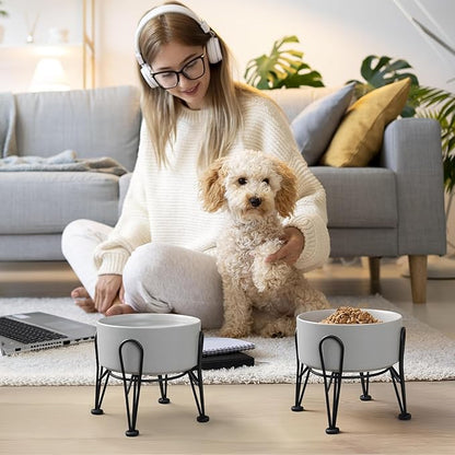 Elevated Dog Bowls, Ceramic Raised Dog Bowl Set with Anti-Slip and Non-Tip Metal Stand, 2 Pack Pet Food and Water Feeding Bowls for Small and Medium Dogs (Gray,3.6 Cups)