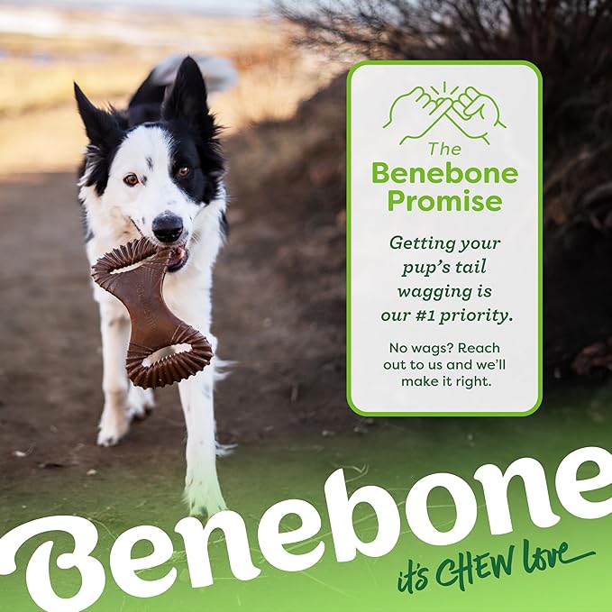 Benebone Dental Durable Dog Chew Toy for Aggressive Chewers, Real Chicken, Made in USA, Small