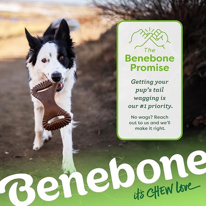 Benebone Dental Durable Dog Chew Toy for Aggressive Chewers, Real Chicken, Made in USA, Large