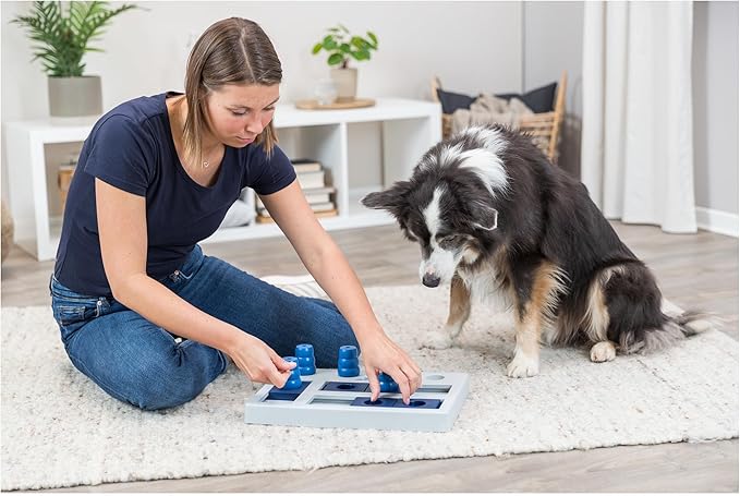 TRIXIE Chess Dog Activity Interactive Toy, Level 3 Food Puzzle Game, Brain Teasing Treat Dispenser, IQ and Mental Development Toy for Smart Dogs, Enrichment Toy for Boredom Busting
