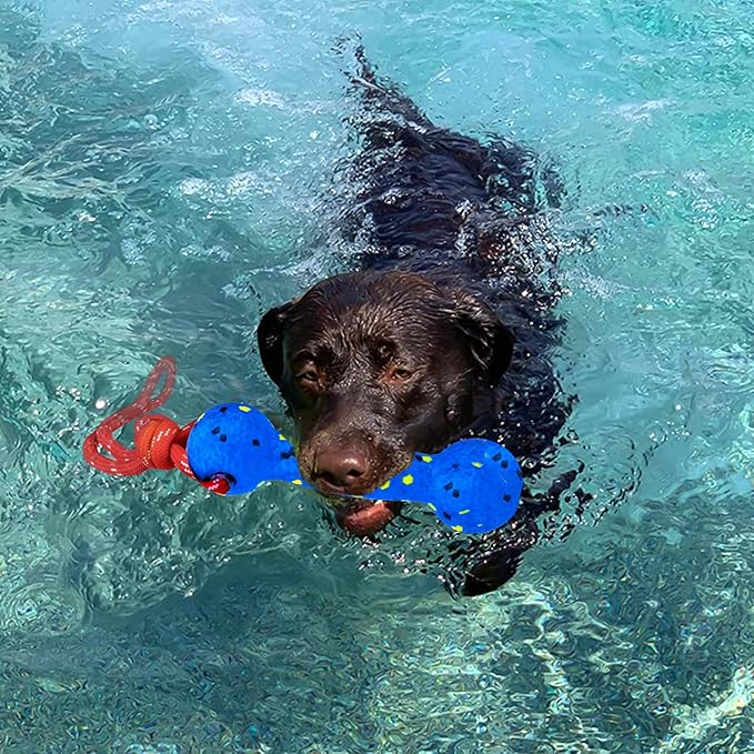 BABORUI Floating Dog Pool Toy – Durable E-TPU Dog Water Toy for Fetch & Chew, Bright Floating Dogs Toys for Pool, Beach & Outdoor Play – Dogs Beach Essentials (Blue Stick)