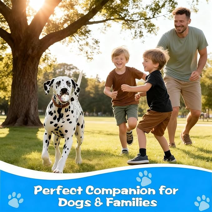 Indestructible Dog Ball, Durable Dog Balls for Aggressive Chewers, 2.4" Durable Teething Chew Toys, Interactive Fetch Ball for Medium/Small Dogs