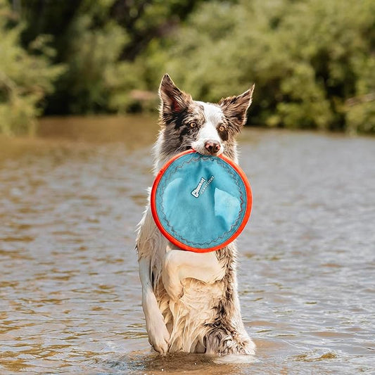 Chuckit! Paraflight Flying Disc Dog Toy - Water Floating Flyer - Durable Nylon Construction with Soft Rubber Edges - For Medium and Large Dogs - Size Large - 9.75" L x 9.75" W - Pack of 1
