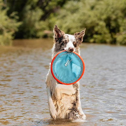 Chuckit! Paraflight Flying Disc Dog Toy - Water Floating Flyer - Durable Nylon Construction with Soft Rubber Edges - for Medium and Large Dogs - Size Large - 9.75" L x 9.75" W -,1 Count (Pack of 4)