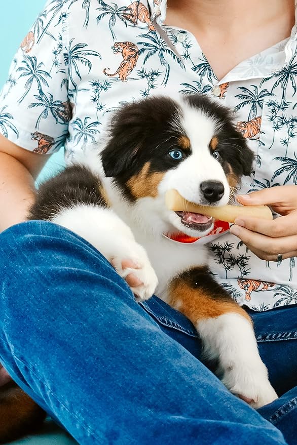 Nylabone Gourmet Style Stick Strong Chew Toy for Puppies, Soothing Puppy Teething Toys, Puppy Enrichment, Chicken Flavor, Medium - Up to 35 lbs., 1 Count
