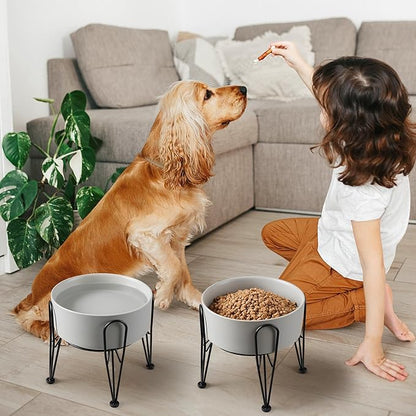 Elevated Dog Bowls, Ceramic Raised Dog Bowl Set with Anti-Slip and Non-Tip Metal Stand, 2 Pack Pet Food and Water Feeding Bowls for Small and Medium Dogs (Gray,7.6 Cups)