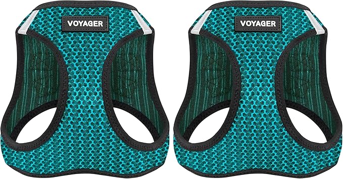 Voyager Step-in Air Dog Harness - All Weather Mesh, Reflective, No Pull Harness for Small, Medium Dogs, Cats - Secure with Hook & Loop Fastener, Buckle, Double D-Rings - Turquoise 2-Tone, XS
