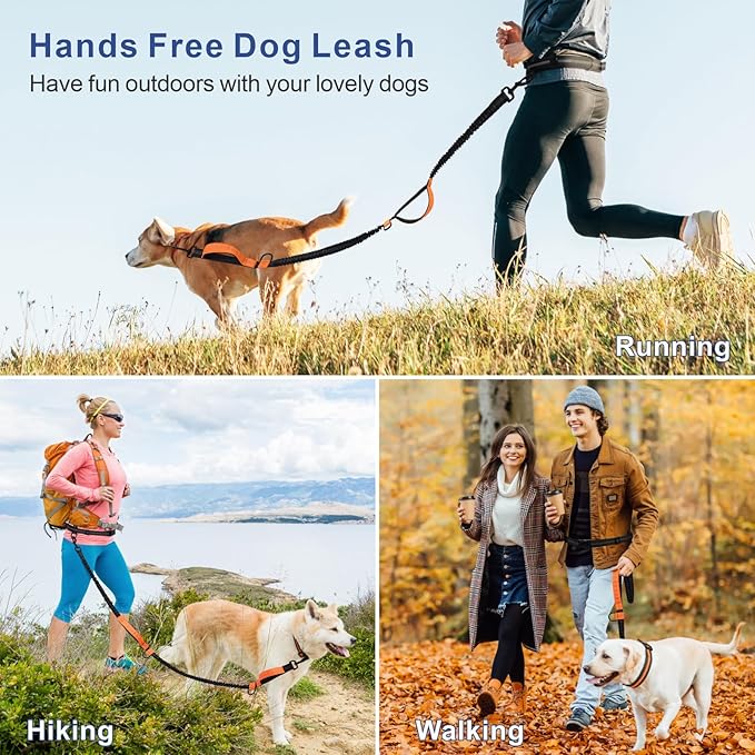 Hands Free Dog Leash - Dog Collar with Adjustable Waist Belt, 2 Bungees Shock Absorbing, Dual Handles for Walking Running Jogging, Reflective Knitted