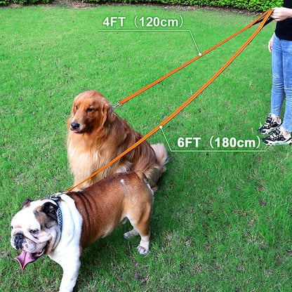 FunTags 4FT Reflective Dog Leash with Soft Padded Handle for Training,Walking Lead for Medium & Small Dogs,3/4 Inch Wide,Orange