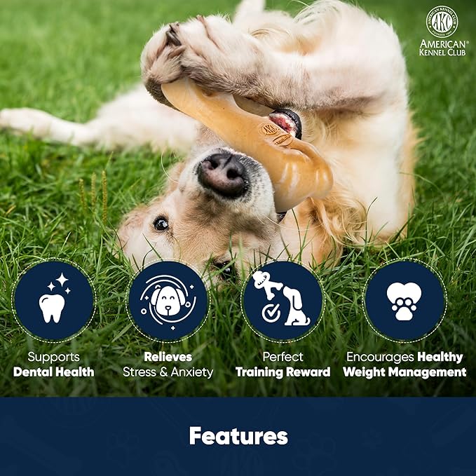 American Kennel Club Training Dog Chew Toy, Thick Bone Dog Toy, Durable Dog Toy for Moderate Chewers, Beef Scented for Long-Lasting Engagement, Supports Dental Health
