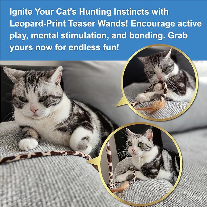 PetLike 25pcs Interactive Cat Toys Set Collapsible Cat Tunnel Interactive Feather Teaser Wand,Spring Toys & Balls for Indoor Cats (Green, 25x55cm)
