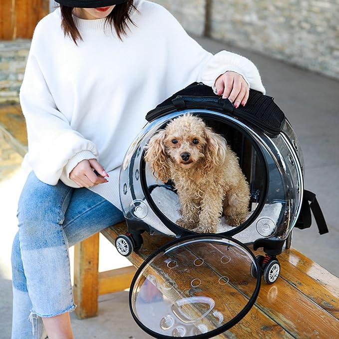 Pet Carrier with Wheels for Cats and Dogs, Clear Hard-Shell Rolling Pet Carrier with Retractable Handle, Airline-Approved Travel Carrier, Portable Cat and Dog Stroller (Black)