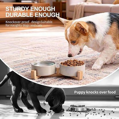 Kimdio Ceramic Dog Bowls with Wood Stand, 13.5OZ Pet Bowls Set of 2 for Medium Small Dogs and Cats - Non-Slip Base Cute Pet Food & Water Basic Bowls Glaze Matte-White