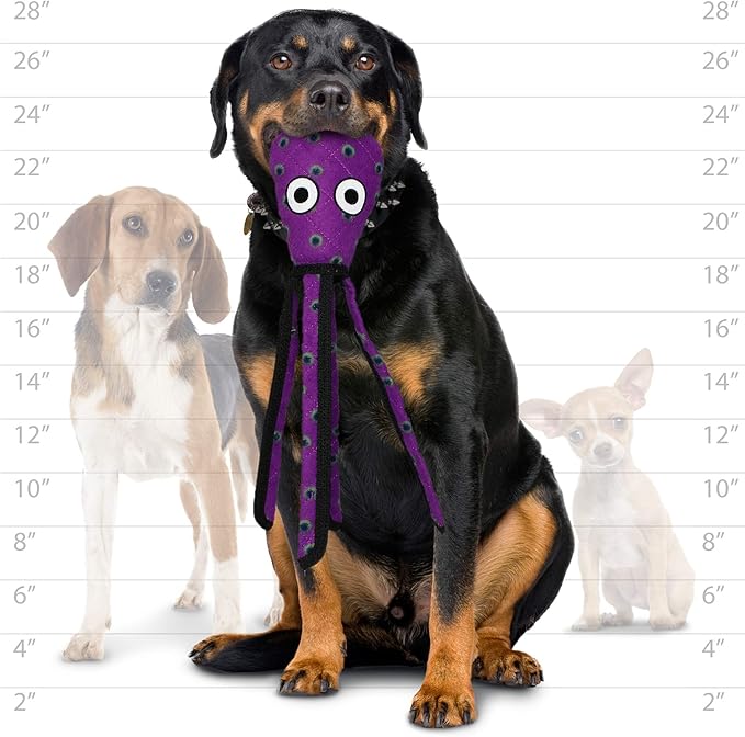 TUFFY - World's Tuffest Soft Dog Toy - Desert - Multiple Layers. Made Durable, Strong & Tough. Interactive Play (Tug, Toss & Fetch). Machine Washable & Floats (Phrog/Squid Combo Pack, Large)