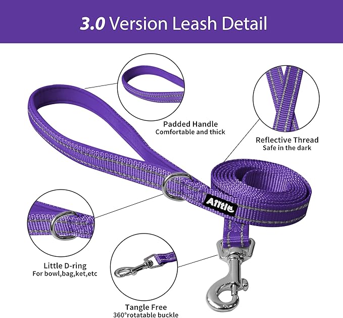 AIITLE Easy Walk Dog Harness and Leash Set - Pet Supply No Pull, Step in Adjustable Dog Harness with Padded Vest for All Weather, Dog Harness No Choke Over, Easy to Put on Medium Dogs Purple L