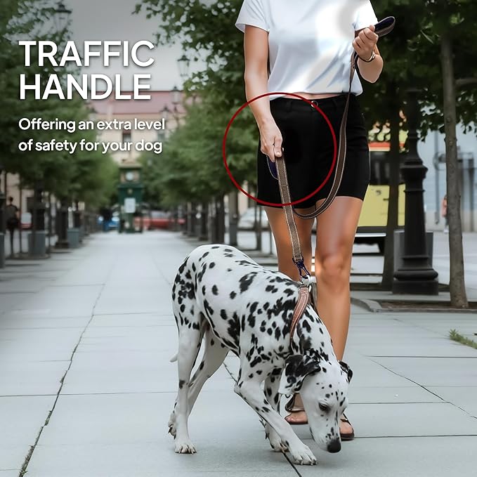 TwoEar 4FT 1IN Strong Brown Dog Leash with 2 Padded Handles, Traffic Handle Extra Control, Comfortable Soft Dual Handle, Auto Lock Hook, Reflective Walking Lead for Small Medium and Large Dogs