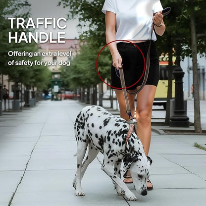 TwoEar 4FT 1IN Strong Brown Dog Leash with 2 Padded Handles, Traffic Handle Extra Control, Comfortable Soft Dual Handle, Auto Lock Hook, Reflective Walking Lead for Small Medium and Large Dogs