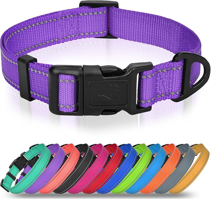 Joytale Small Dog Collar, Durable Double-Sided Reflective Nylon Collar for Night Safety, Adjustable Quick-Release for Active Breeds, Purple, S (3/4" Width)