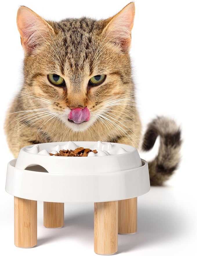 CatGuru Cat Bowls, Whisker Friendly Food Bowl for Indoor Cats, Reliefs Whisker Fatigue, Wide Kitten Dish, Non Slip Pet Dishes, Shallow Pet Plates (Marshmallow, (Pack of 2))