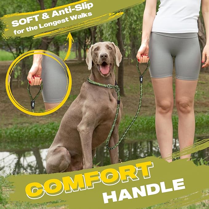 Fida Durable Slip Lead Dog Leash Bulk Pack of 5, Heavy Duty 1/2" x 6 FT Comfortable Strong Rope Slip Lead for Large, Medium & Small Dogs No Pulling Pet Training Leash with Highly Reflective (Green)