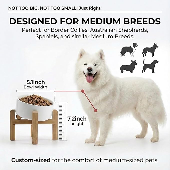 hjn Elevated Ceramic Dog Bowl 15°Slanted Raised Dog Bowl with Bamboo Stand for Small Medium Dogs and Cats, Pet Feeder -3.6-Cup (850ml)-White