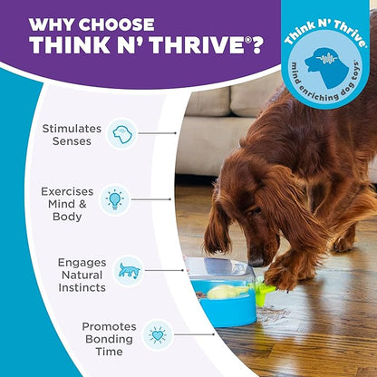 Outward Hound Nina Ottosson Paw N' Play Interactive Dog Treat Puzzle, Level 2 Intermediate Dog Enrichment Dog Toy, Blue, Small