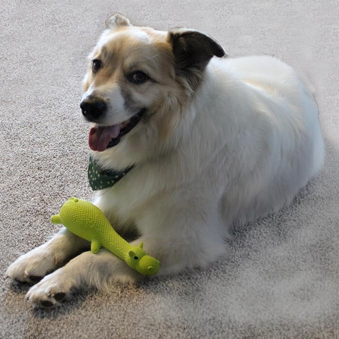 SPOT Latex Friends Dog Toys -Soft & Stuffing-Free with Honking Squeaker, 100% Latex, Brightly Colored, Ideal for Small/Medium Dogs & Light Chewers, 9-inch Assorted Styles