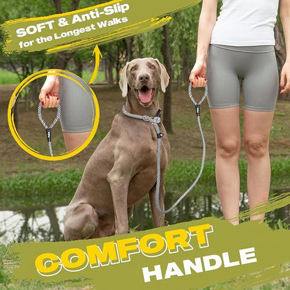 Fida Durable Slip Lead, 6 FT x 1/2" Heavy Duty Dog Loop, Comfortable Strong Rope Leash for Large, Medium Dogs, No Pull Pet Training Leash with Highly Reflective, Grey