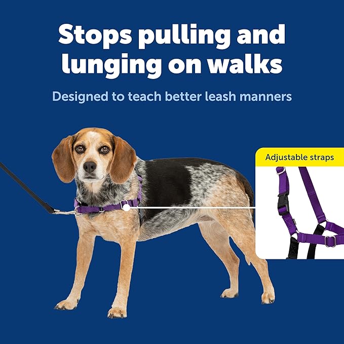 PetSafe Easy Walk Harness for Dogs - Pull-Free Walks - Patented Martingale Loop Design - Front Chest Leash Attachment - Comfort Straps - Breathable Harness Design - Small/Medium, Deep Purple/Black