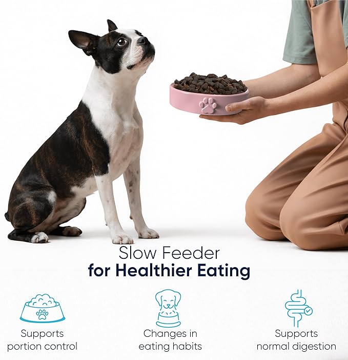 Slow Feeder Dog Bowls – Dog Bowl Slow Feeder – Microwaveable Dog Slow Feeder for All Breeds – Lead and BPA-Free Ceramic Pet Bowl – Pet Feeder for Fast Eaters