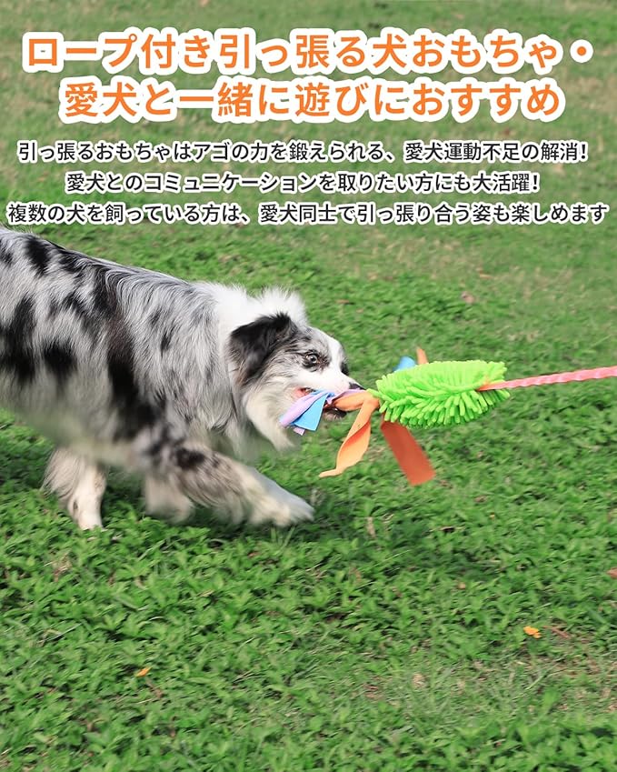 SCHITEC Dog Tug Toy, [2 Pack] Interactive Play Training Bungee Rope, Squeaky Tug of War Exercise Pull Toys for Puppy Small Medium Large Dogs