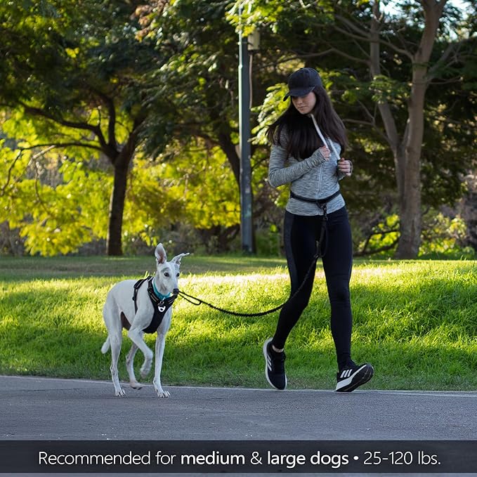 Waist Leash for Dog Walking, Waist Dog Leash for Running, Hands Free with Metal Quick-Release Buckle, Rope Bungee, Neoprene Lumbar Support