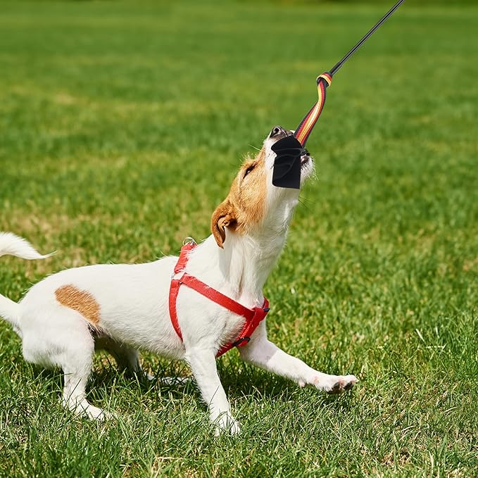 Breling 2pcs Leather Bite Rag for Dog Training with Pole Leather Dog Toy Rope for Aggressive Chewers, Puppy Toy to Build Prey Drive, Train Bite Grip, Play Tug of War Game with Handle