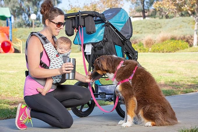 PetFusion Portable Dog Water Bottle & Dispenser (New-Large 22oz Dispenser) Insulated 2 Wall Stainless Steel- Optimal Cool Water Temp - Dog Travel Bottle