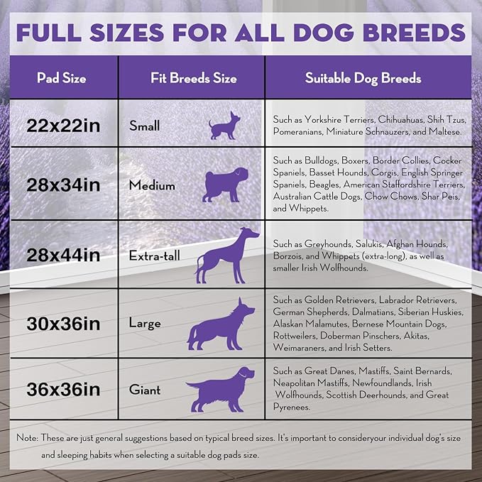 CROCI 22x22in Puppy Pads with Adhesive Tabs, Dog Pee Pads Absorbs Up to 3 Cups Potty Training, Disposable (50 Counts)