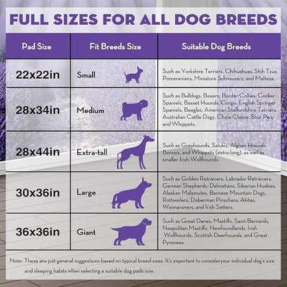 CROCI 22x22in Puppy Pads with Adhesive Tabs, Dog Pee Pads Absorbs Up to 3 Cups Potty Training, Disposable (50 Counts)