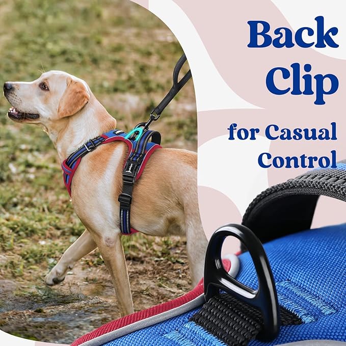 rabbitgoo Dog Harness Small Sized, No Pull Pet Harness with 3 Buckles, Adjustable Soft Padded Vest with Control Handle, Walking Reflective Pet Vest for Small Dogs, Royal Blue & Red, S