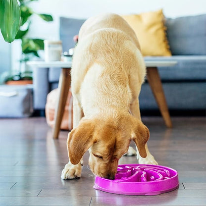 Outward Hound Fun Feeder Slo Bowl – Large 4‑Cup Capacity, Slow Feeding, Medium to Large Dogs, Non‑Slip, Purple, Flower Pattern
