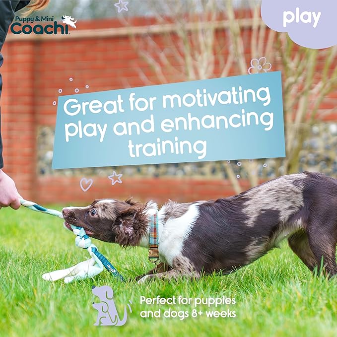 Coachi Puppy & Mini Tuggi Tug - Great for Tug & Play, Strong Dog Toy, Fun Reward Training, Great for Recall, Interrupt Biting & Chewing. Ideal for Agility, Suitable for Small Dogs & Puppies