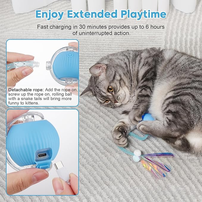 Interactive Cat Toys for Indoor Cats & Dogs, Agile Moving Cat Ball with Elastic Mesh Tail, Rechargeable Enrichment Toys, Smart Automatic Rolling Pet Ball Toys for Bored Indoor Dogs & Cats (Blue)