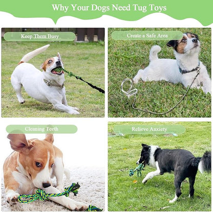 Dog Bungee Tug Toy,Interactive Outdoor Tether Ball Rope Toy with Stake for Small & Medium Dogs, Durable Tug of War Toy for Yard, Park, Camping