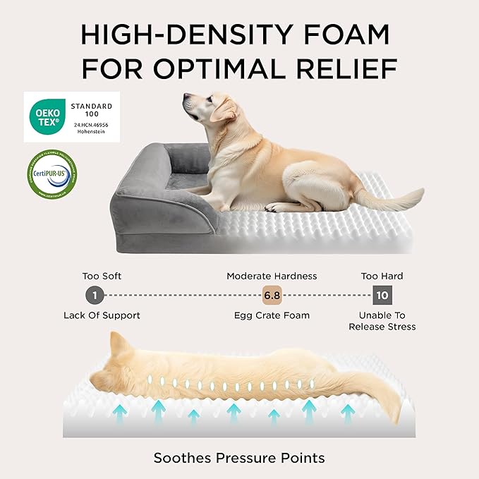 Bedsure Orthopedic Dog Beds for Small Dogs - Washable Small Dog Cat Bed Waterproof, Comfort Pet Couch Sofa with Washable Removable Cover, Pets Bed with Nonskid Bottom, Plush-Black, 24"
