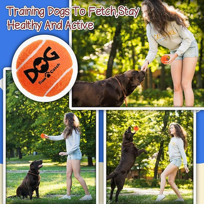 Squeaky Tennis Balls for Dogs, 6 Pack 2.5" Squeaky Dog Balls for Medium Large Breed, SGS Certified Non-Toxic, Interactive Fetch Toys, Perfect for Outdoor & Indoor Play